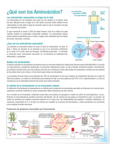 ajinomoto_amino-acid-technologies_latin-america_English-to-Spanish-Raleigh 3