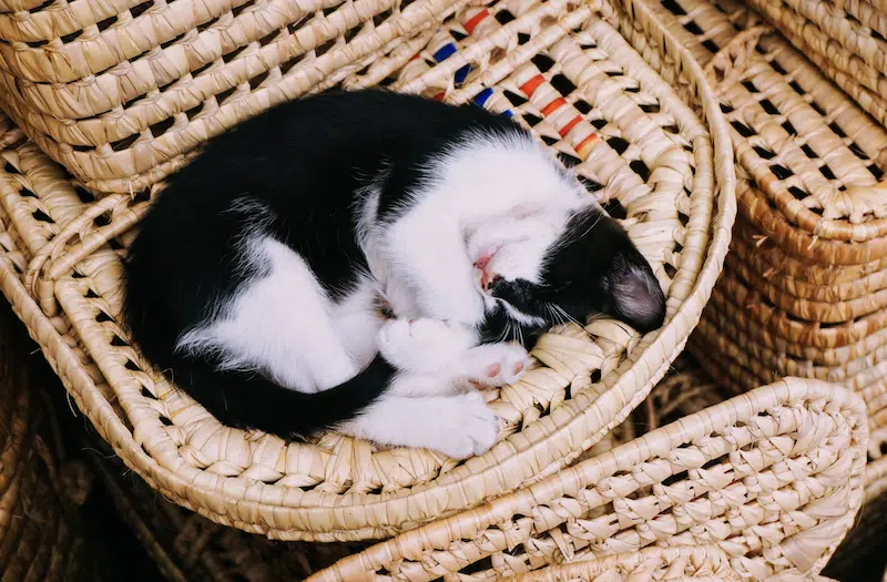 amazing-health-benefits-of-taking-a-siesta